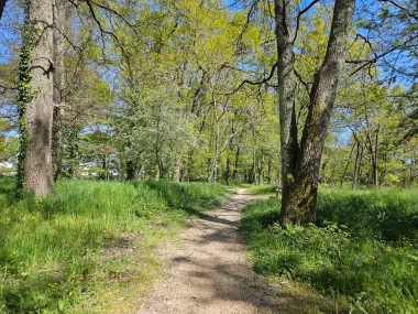 Parc de Beaudesert chemin.